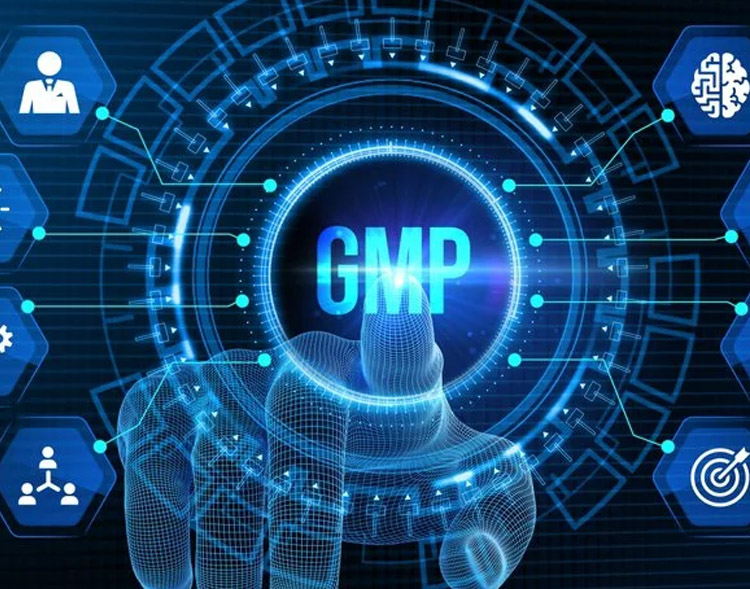 Third Party GMP Audits