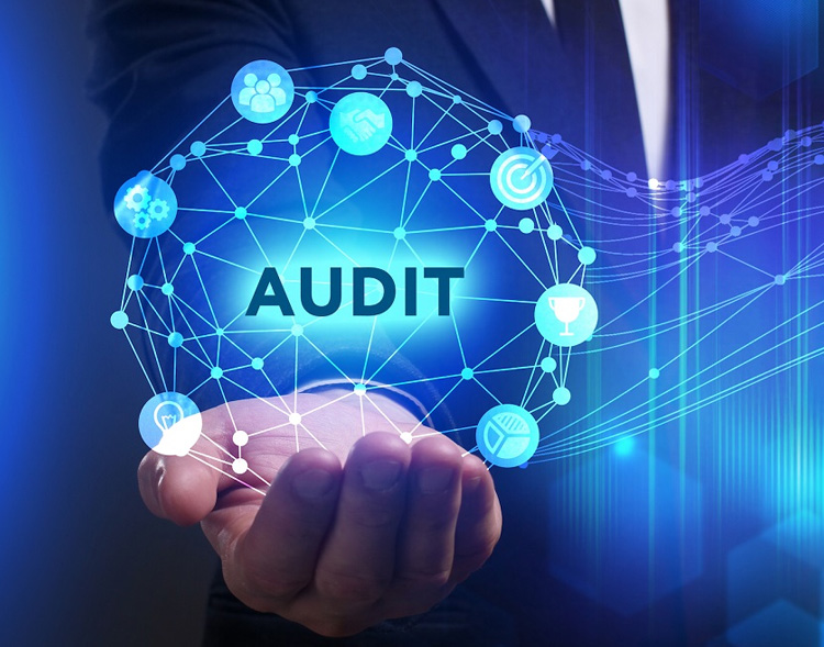 Pre Inspection Audits